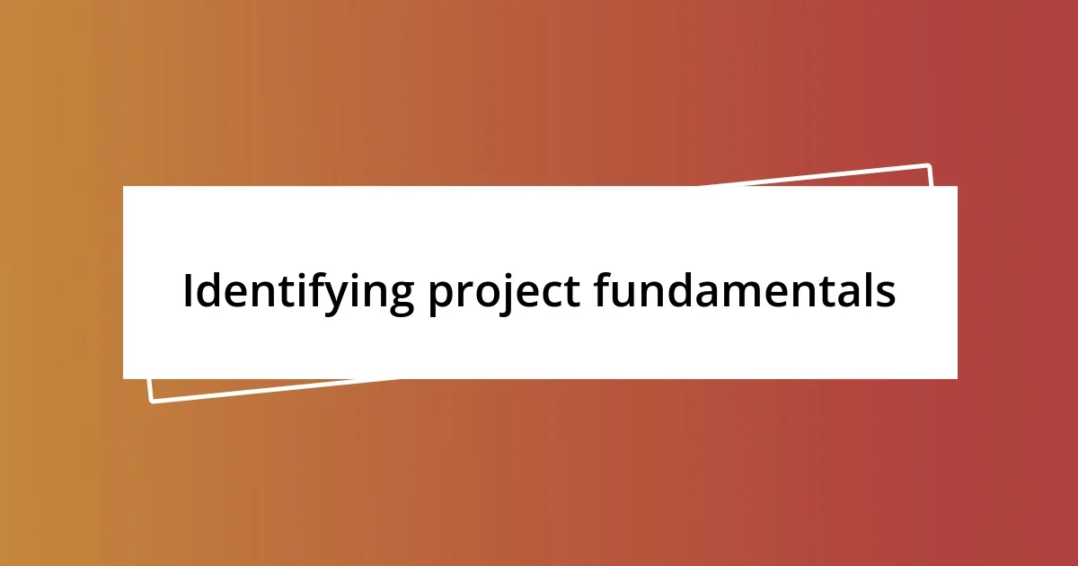 Identifying project fundamentals